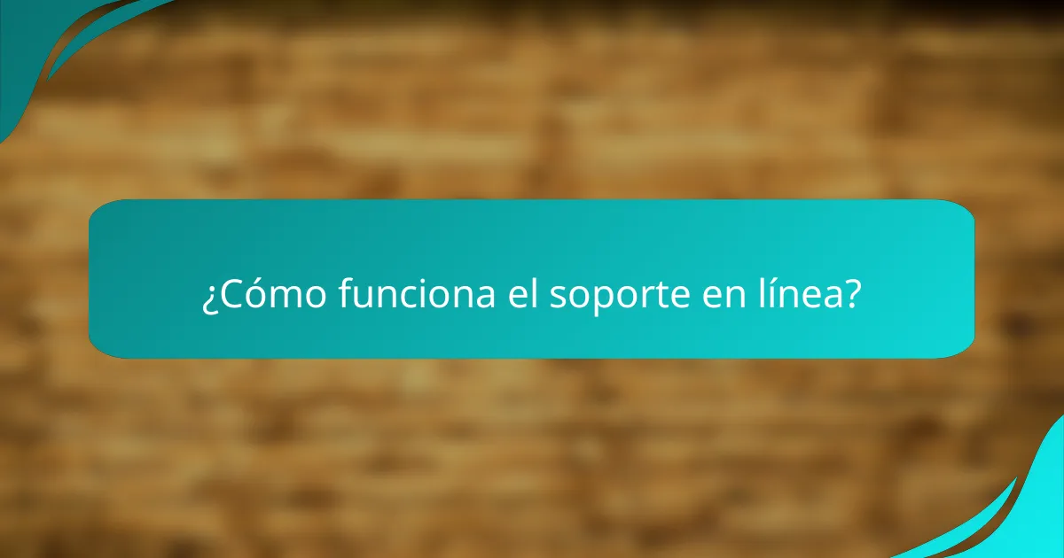 ¿Cómo funciona el soporte en línea?