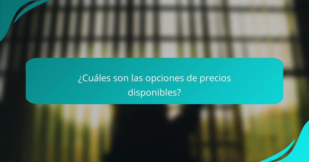¿Cuáles son las opciones de precios disponibles?