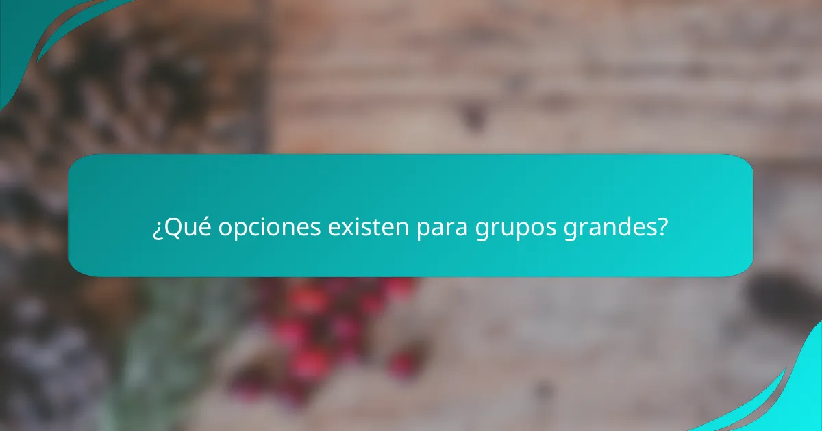 ¿Qué opciones existen para grupos grandes?